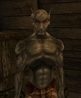 Dzhiub